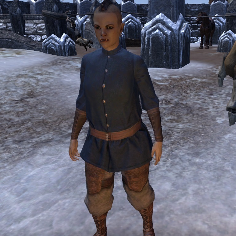 干酪商人布尔弗