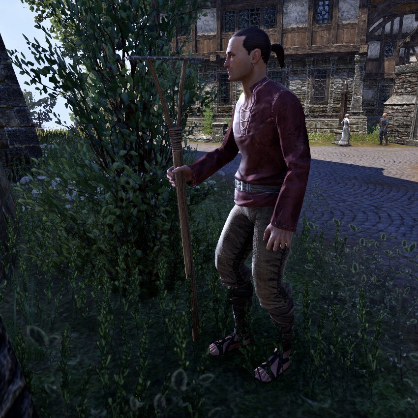 MaxevainNarcien