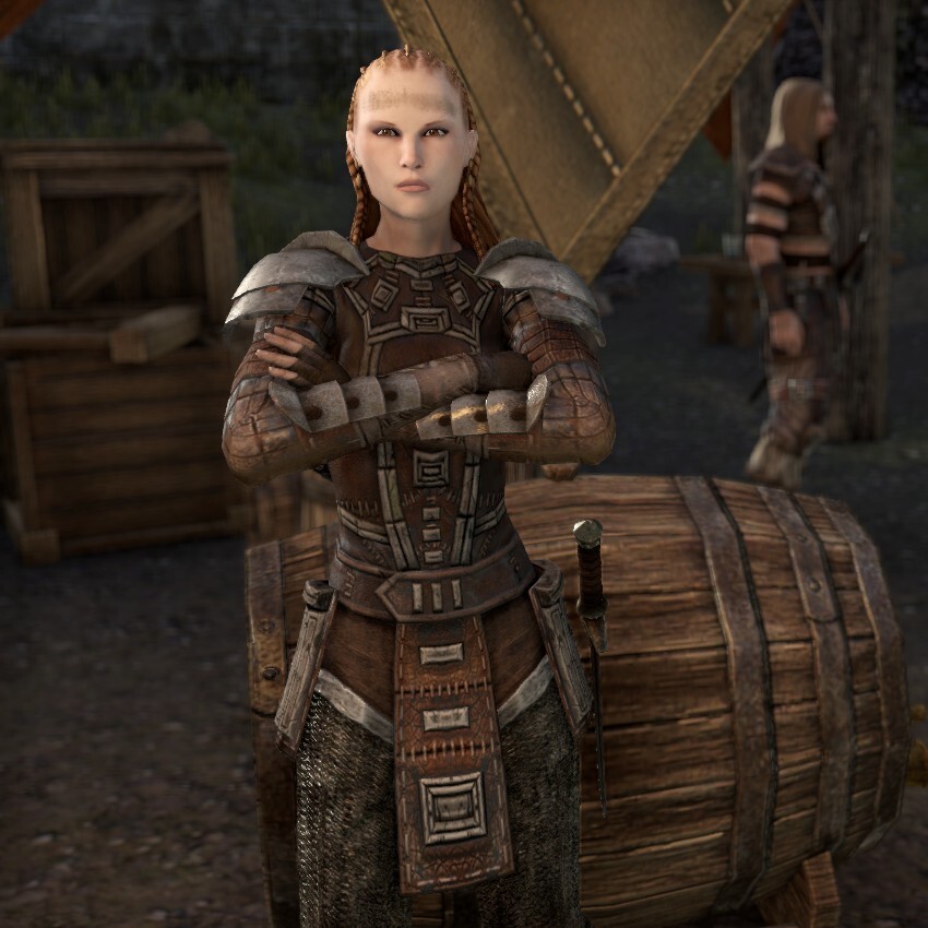 Lumber Wagon Guard