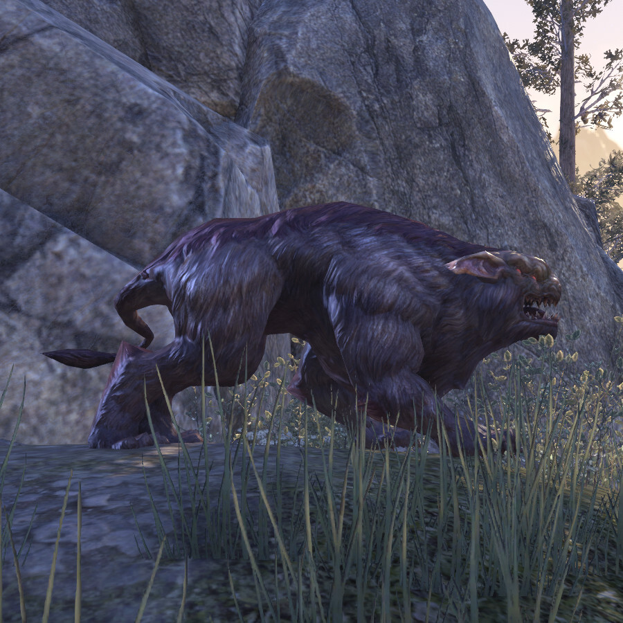 Bittermaw