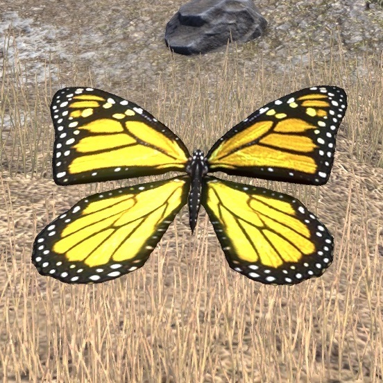 蝴蝶