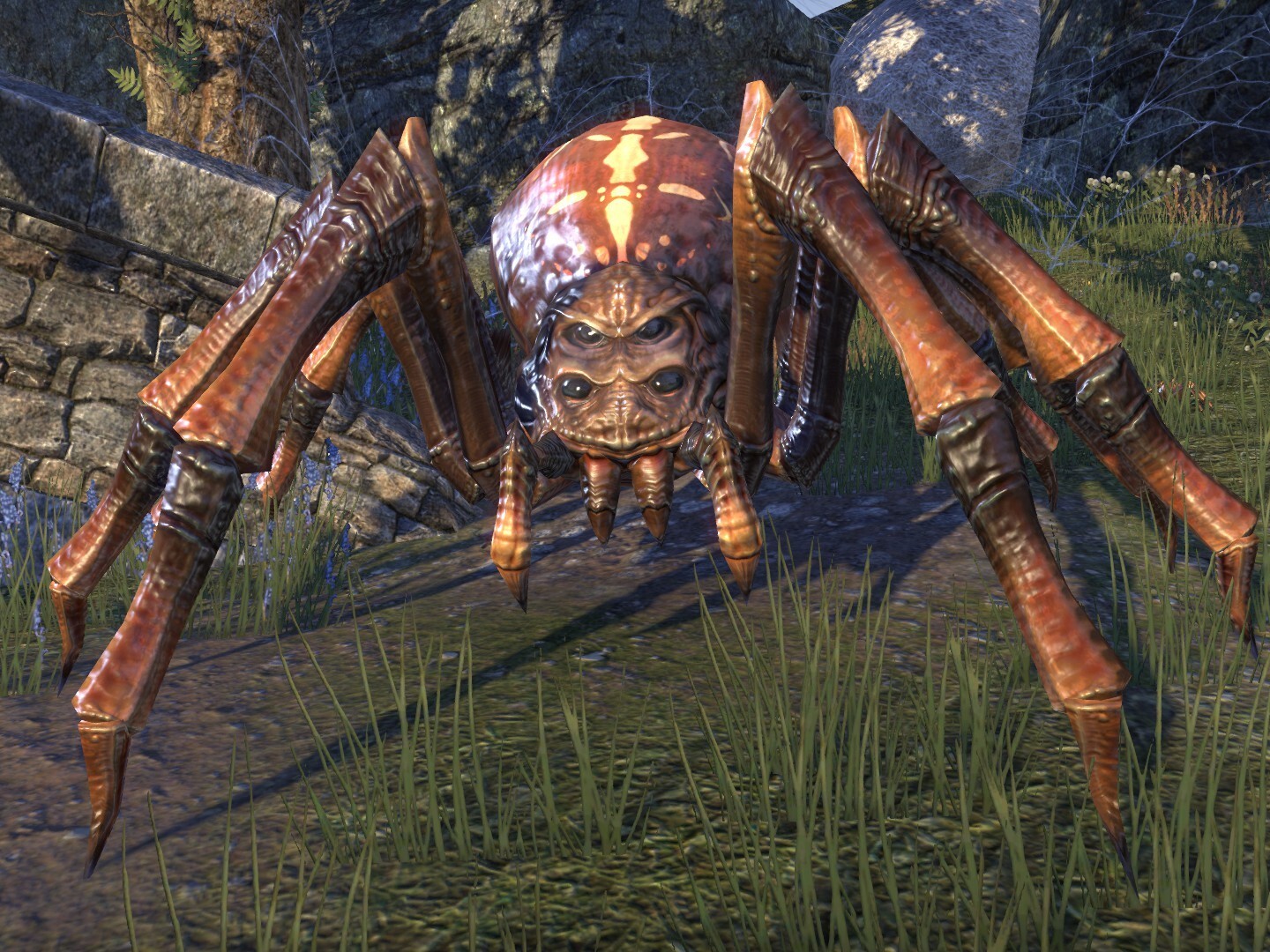 Bloodweaver